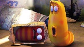 LARVA - HIDE AND SEEK | Cartoon Movie | Cartoons | Comics | Larva Cartoon | LARVA Official