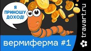 Червь старатель.  Домашняя вермиферма. Переработка отходов. ТРАВАРТ 2701 Андрей Протопопов