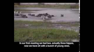 Okavango Part 1