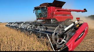 Harvesting a record number of soybeans. Day 1