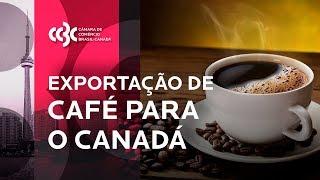 Exportação de café para o Canadá | Cases de Sucesso CCBC