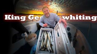 How To Catch king George whiting - Chasing Shallow Water Monsters