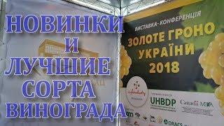 Золотая гроздь Украины 2018, НОВИНКИ ВИНОГРАДА И ЛУЧШИЕ СОРТА