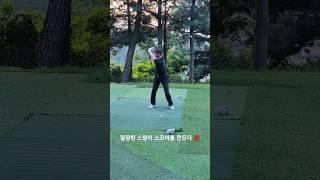 574화) 골프 잘 되세요? (feat. 조브로) #골프 #골프스윙 #golf #golfswing #골프레슨 #골프연습 #드라이버 #골린이 #우드스윙 #아이언 #필드레슨 #필드