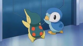 why is Piplup such a B 