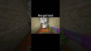 Minecraft Meme