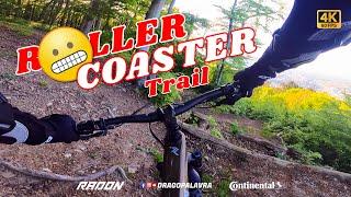 ROLLERCOASTER TRAIL VIENNA | Radon Slide Trail 8.0 | Drago Palavra