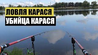 УБИЙЦА КАРАСЯ ПРАВДА или МИФ? РЫБАЛКА УДЫ