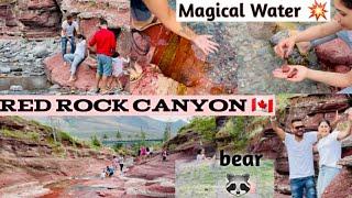 Red Rock Canyon  | Magical Water| Saini Family Vlog 7 | Waterton | 50 million years ago | canada