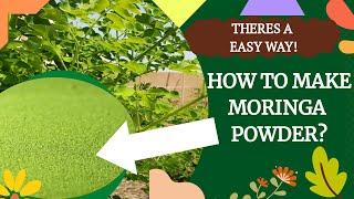 The Easy Way to Make Moringa Powder with NutriBullet ~Bee13Bux