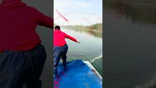 fishing net catching video #fishing #net #fishinglife
