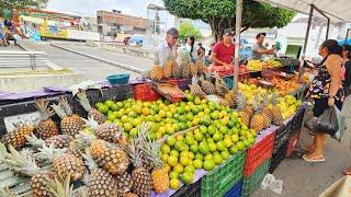 FEIRA COM CUSTO DE VIDA BAIXO E FARTURA É NO NORDESTE!