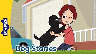 Incredible Dog Stories: From Pets and Guide Dogs to Brave Heroes! | Little Fox