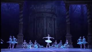 SLEEPING BEAUTY - Princess Aurora Act 2 Variation (Svetlana Zakharova)