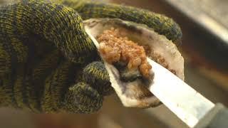 Wild Cooking-Typhoon days can wet my pillow, but can not wet my oysters, that is all of mine