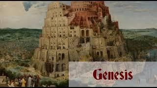 Genesis: Chapter-by-Chapter Commentary