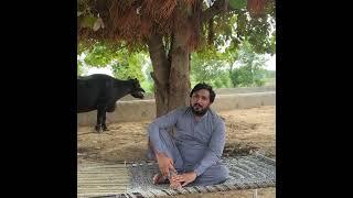 anjum saroya Funny Video   Siyani Kuri   ty usde MaanPe.