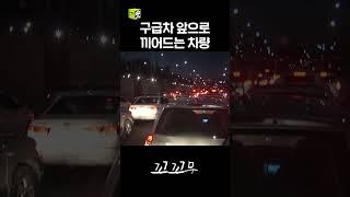 10km 이동하는데 40분이나 걸렸던 이유 #꼬꼬무 #달리 #DALI #shorts