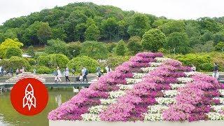 Float Through Japan's Floral Fairytale Wonderland