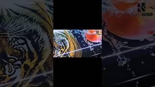 ECONOMICAL ECO SOLVENT / UV HYBRID PRINTER