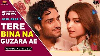 Tere Bina Na Guzara Ae - JOSH BRAR, Satinder Sartaj (Official Video) Latest Punjabi Song 2024