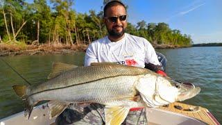 PURA PESCA - TEMP 5 EP 17 - MELHOR LOCAL PARA ROBALOS NO BRASIL