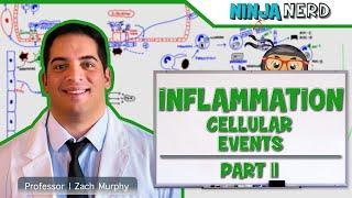 Immunology | Inflammation: Cellular Events: Part 2