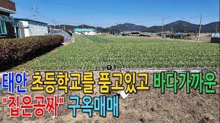 [매물650] 태안 초등학교를 품고있고 바다가까운 "집은공짜" 구옥매매