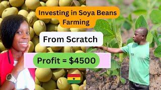 how to invest in soya beans farming business with $172 in Ghana  from scratch| start soya beans farm