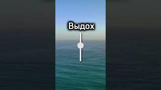 Занятия по йоге на канале #йога