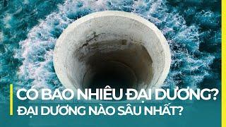 TRÁI ĐẤT CÓ BAO NHIÊU ĐẠI DƯƠNG? ĐẠI DƯƠNG NÀO SÂU NHẤT?