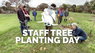 Glossy Black-cockatoo Habitat Restoration - Tree Planting Day | Exceptional Kangaroo Island