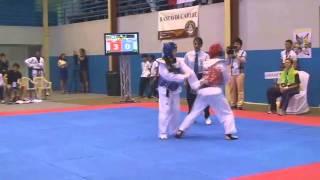 3rd WTF World Para-Taekwondo Championships 2012 Final_ UKR - RUS