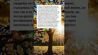 отменила свадьбу #жизненныеистории #короткиеистории #реальныеистории