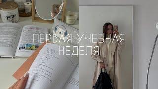 ПЕРВАЯ УЧЕБНАЯ НЕДЕЛЯ - vlog