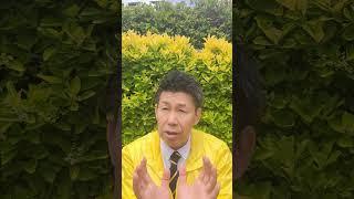 福井かんきの＂大事な言葉＂ #尼崎市議会議員選挙 #尼崎市議会議員選挙2025 #尼崎市議選 #nhk党