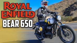 Royal Enfield Bear 650 First Ride Review - Cycle News