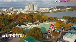 가을 맞은 수성못 수성유원지 | 요즘대구