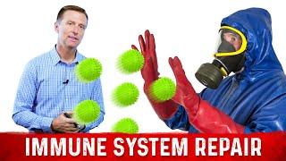 How to Repair Your Immune System if it is Old and Damaged