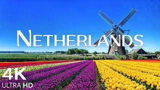 Netherlands 4K UHD • The Land of Windmills & Serene Countryside with Relaxing Music • 4K Video 60fps