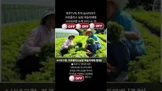 프로폴리스농법 파슬리재배 #6시내고향 #특우농원 #파슬리재배 #포스푸드케어 #프로폴리스치약 #표고버섯키트 #표고버섯키우기