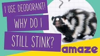 I Use Deodorant! Why Do I Still Stink? #AskAMAZE