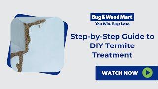 Step-by-Step Guide to DIY Termite Treatment