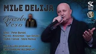 Mile Delija - Gazda Veso - Official Audio 2021