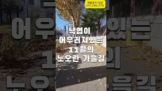 안양시 비산동 평촌자이퍼스니티 모델하우스 가는 길