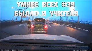 УМНЕЕ ВСЕХ #39. БЫДЛО И УЧИТЕЛЯ НА ДОРОГЕ