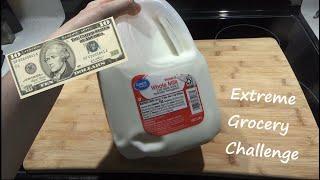 You Have a Gallon of Milk & $10 for a Week | How Do You Survive? | Extreme Budget Grocery Challenge