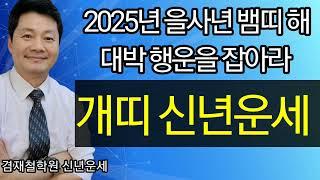 개띠 신년운세 2025년 을사년  종합운 재물운 매매운 건강운 애정운 94년생 82년생 70년생 58년생 46년생 전화상담 및 방문상담 051-805-4999