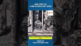 4000 Siêu Xe Mất Tích Dưới Biển: Sự Cố Từng Gây Rúng Động Ngành Vận Tải Biển Năm 2022