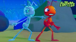 Vanishing Ant | Antiks  | Action Cartoons For Kids